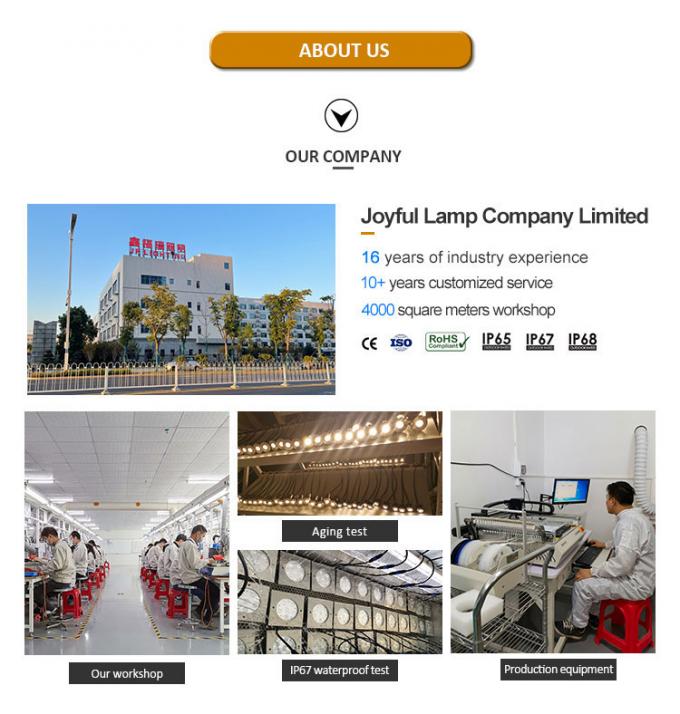 High Quality Rectangle Bright Asymmetrical Beam IP68 SS316L Underwater Light Linear Wall Washer LED Swimming Pool Light 10