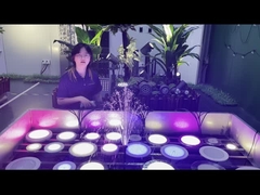 LED PAR56 Pool Light