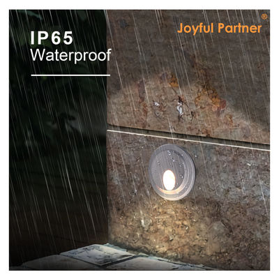 Outdoor Wall Light 1W 2W Constant Current Output DIA80MM OEM ODM Service With Plastic Mounting Sleeve