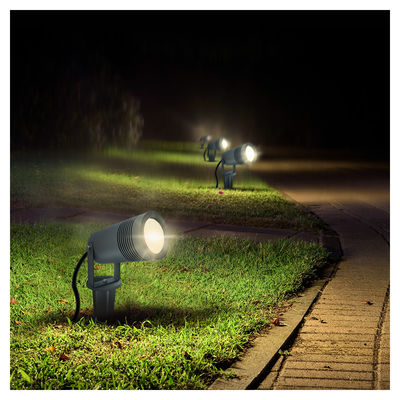 Cold White Outdoor Landscape Lighting