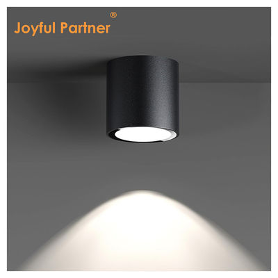 IP65 Ceiling Light Surface Mounted DIA88MM 6000K Cool White Aluminum For Front Porch Garden