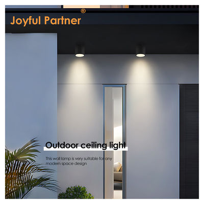 IP65 Ceiling Light Surface Mounted DIA88MM 6000K Cool White Aluminum For Front Porch Garden