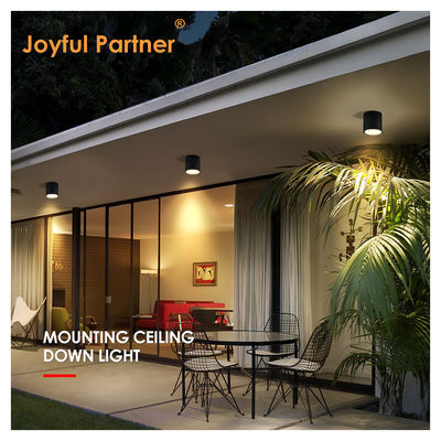 Outdoor Indoor Ceiling Lights IP65 8W Surface Mounted Cylinder Shape Cool White 4000K With CE ROHS Certification