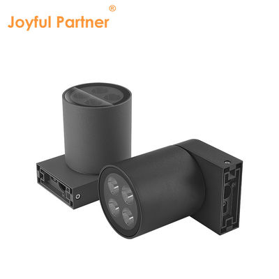 Factory Custom Surface Mounted Downlights 4*2w SMD LED Indoor Outdoor IP65 Cylinder Four-Hole 