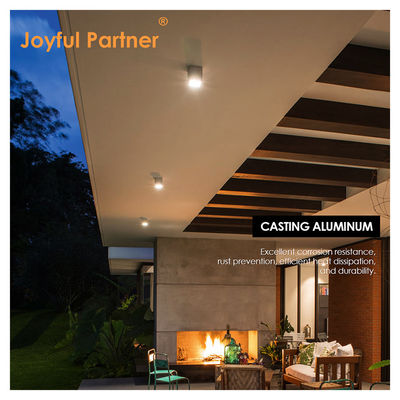 Joyful Lamp LED Wall Ceiling Lamp Surface Mount Type 4W 8W 220V AC Aluminum Body