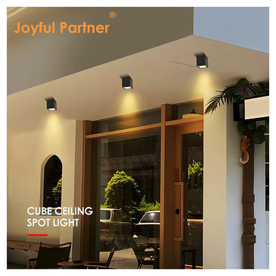Joyful Lamp LED Wall Ceiling Lamp Surface Mount Type 4W 8W 220V AC Aluminum Body