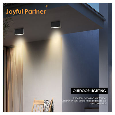 LED Wall Light SMD Ceiling Surface Die-casting Aluminum 5W 10W Beam Angle 60 Degree 3000K Warm White For Front Gate