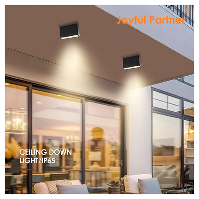 LED Down Light SMD Ceiling Surface Die-casting Aluminum 5w 10w Beam Angle 60 Degree 3000K Warm White  LED For Front Gate