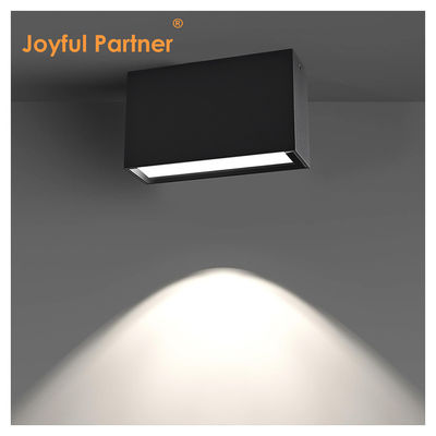 Surface Mounted Downlight Outdoor Waterproof IP65 5W 10W Single Color SMD LED For Hotel Project