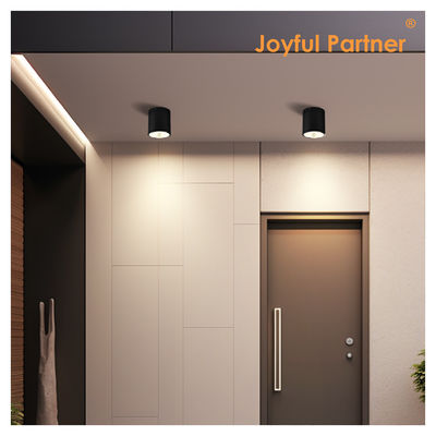CE IP65 Ceiling Light Surface Mounted Downlight Waterproof Spot Light Cree Cob LED With Round Design
