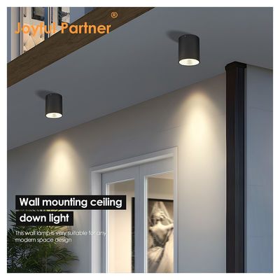CE IP65 Ceiling Light Surface Mounted Downlight Waterproof Spot Light Cree Cob LED With Round Design