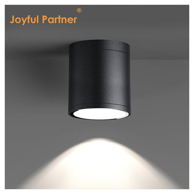 15W COB LED Downlight Cylinder DIA110MM Screw Fix Extruded Aluminum Alloy Housing For Outdoor Application