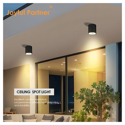 Outdoor Led Yard Lights For Gate AC 220v Warm White And Cool White Aluminium Material 15W LED Wall Lights COB