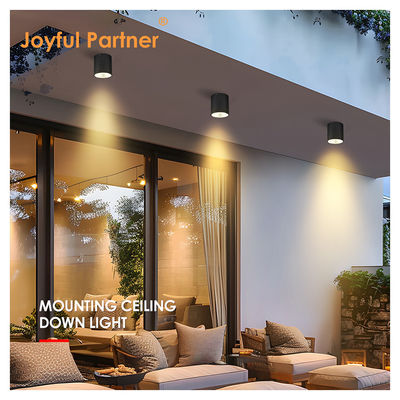 Outdoor Wall Mounted Cylinder Lamp Black Housing Cree COB Led 15W 3500k For Outdoor Garden