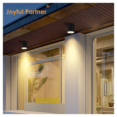 Outdoor Wall Mounted Cylinder Lamp Black Housing Cree COB Led 15W 3500k For Outdoor Garden