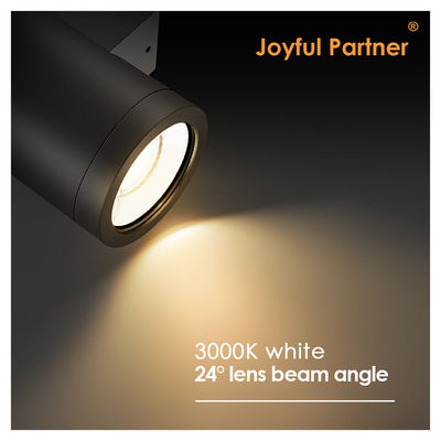 Modern Outdoor Wall Lamps Factory Customized Single Direction IP65 Wall Mounting For Corridor Balcony