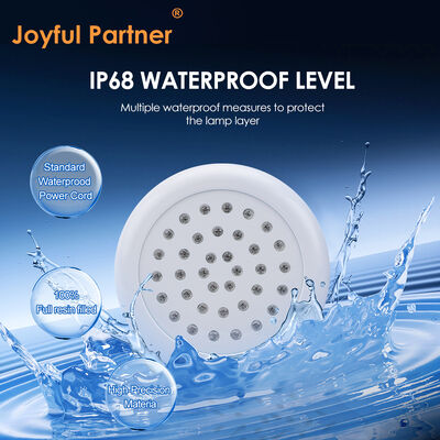 OEM/ODM Pool Lights Led Underwater Resin Filled SMD5050 DC12V SS316L ABS Material 100*26MM